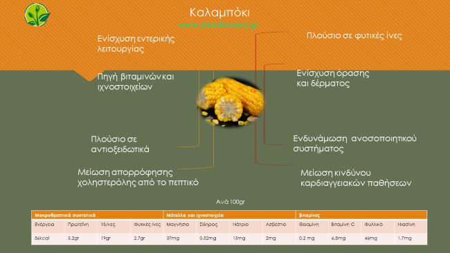 Καλαμπόκι - Infographic